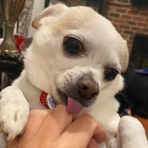 Meet your Posher, Anna